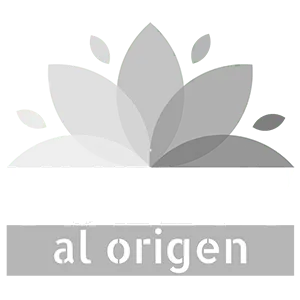 Logotipo de Vuelta al Origen