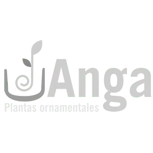 Logotipo de Anga Plantas Ornamentales